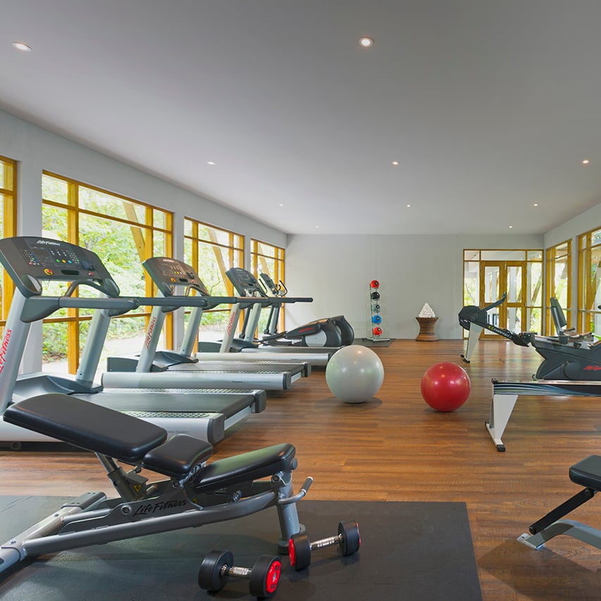 Excursions + Experiences + Fitness