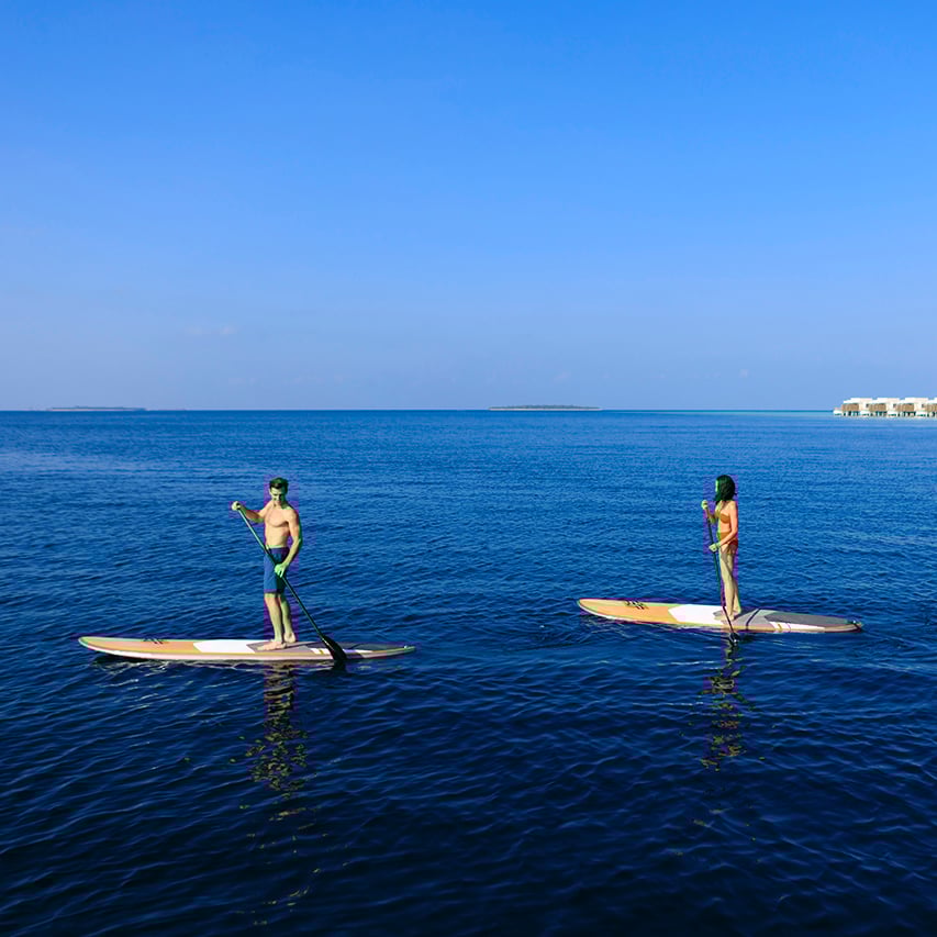 Diving + Water Sports